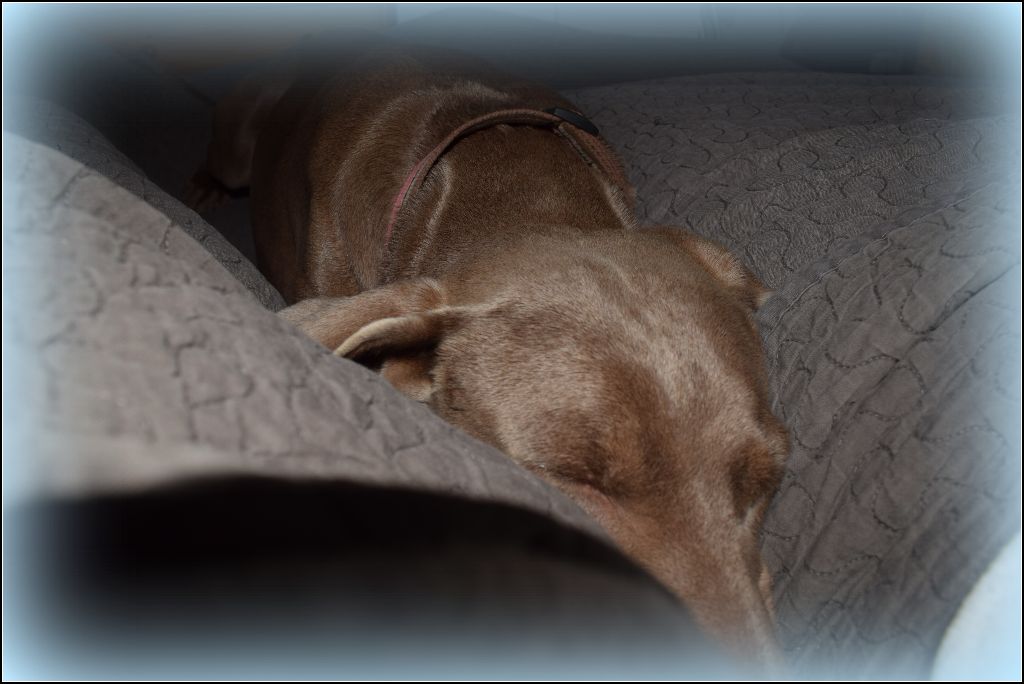 Hermione Soft Harmony