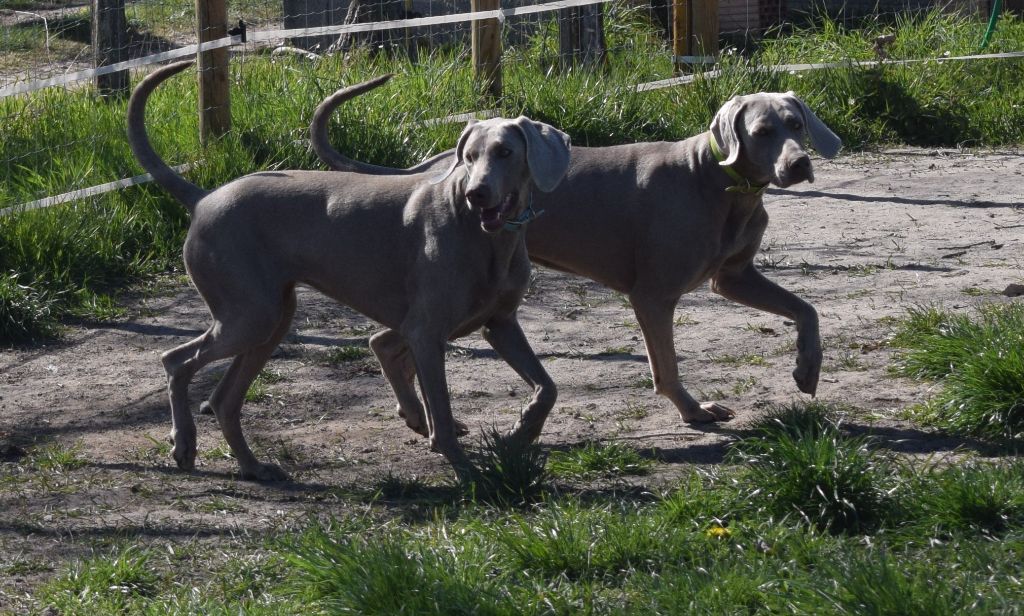 Publication : Soft Harmony Auteur : Nathalie BOUARD