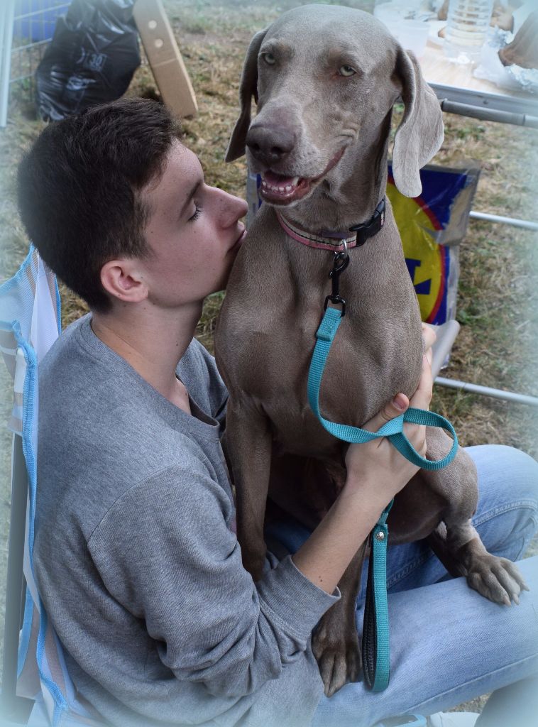 Hermione Soft Harmony