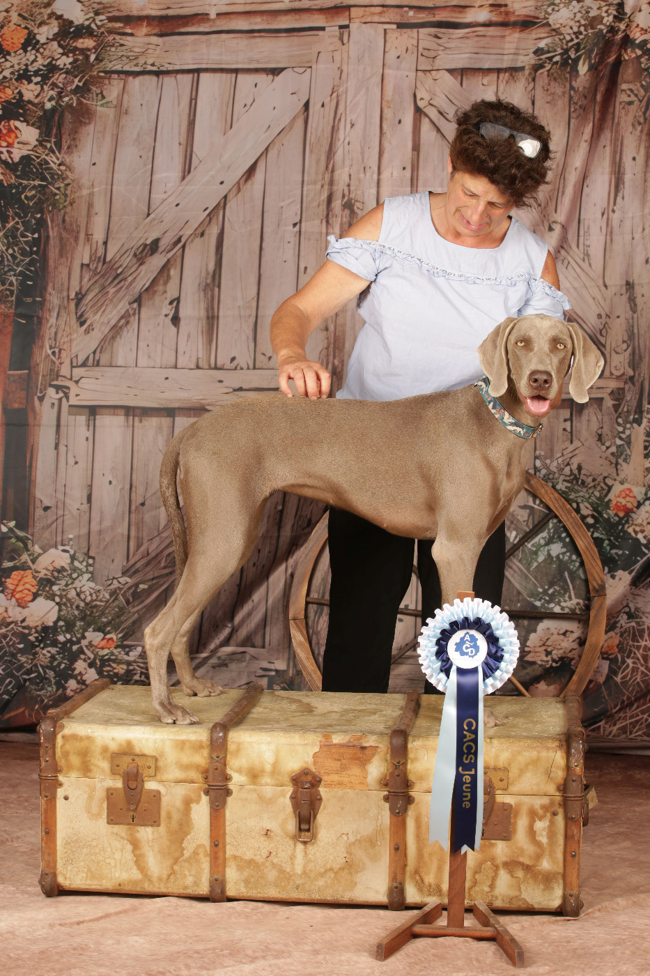 APHRODITE NICE DREAM Soft Harmony - CACS J MEILLEURE JEUNE FEMELLE