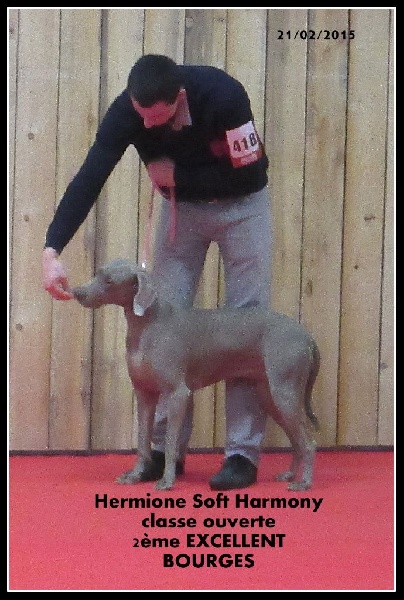 Hermione Soft Harmony - 2ème EXCELLENT