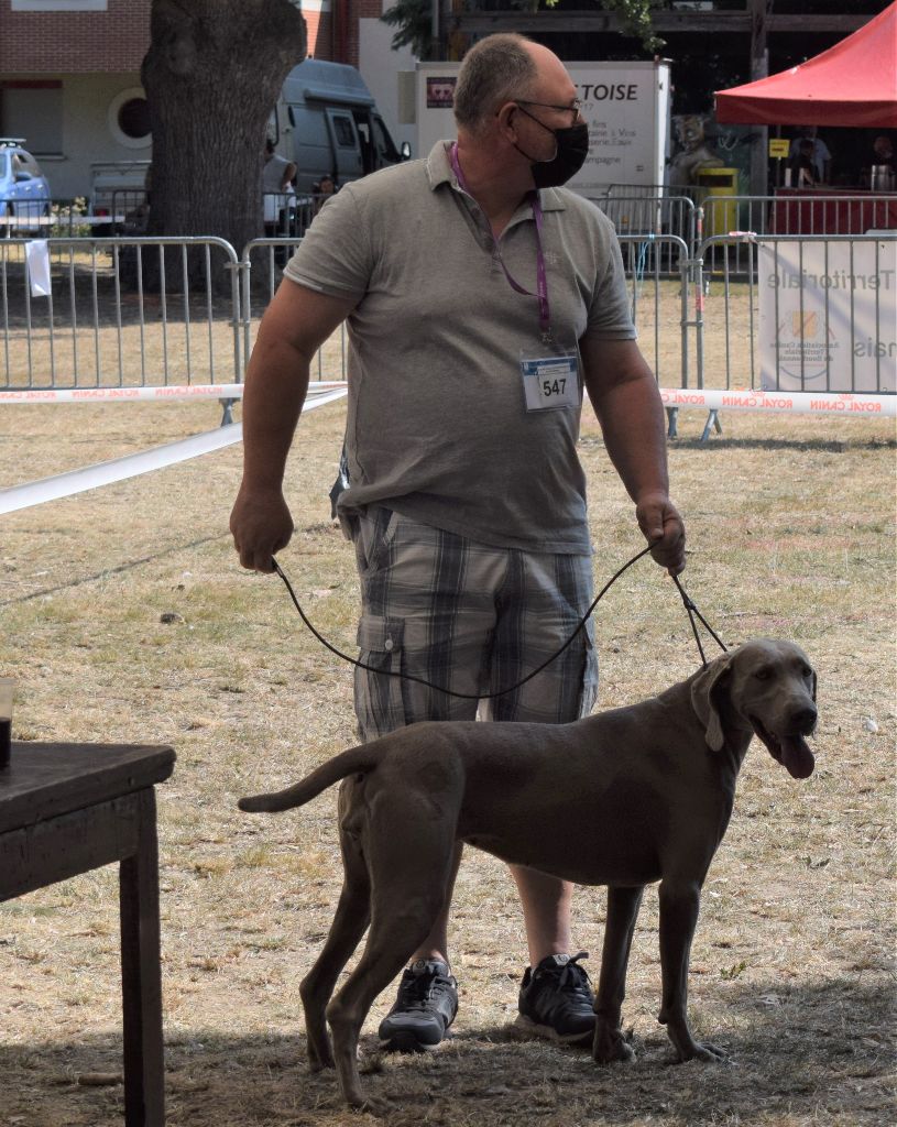 Ozanne Soft Harmony - 3eme TB