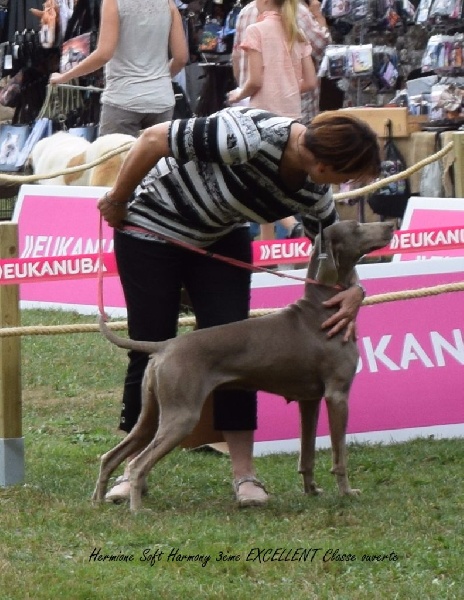 Hermione Soft Harmony - 3 ème EXC