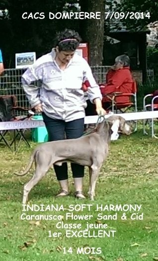 Indiana Soft Harmony - 1er EXCELLENT CLASSE JEUNE