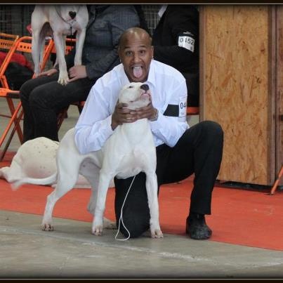 Haya Estrella De Nieve - Très Prometteur