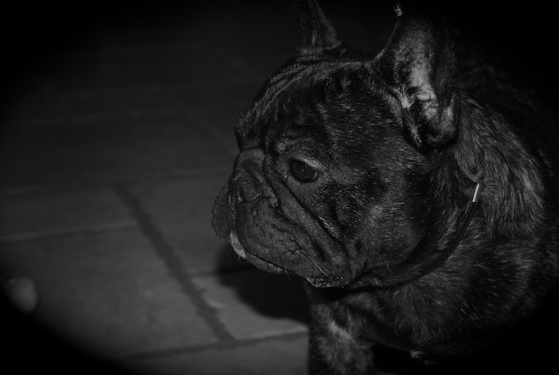 Publication : Des Agathes De Chamrouge Auteur : Des Agathes de Chamrouge