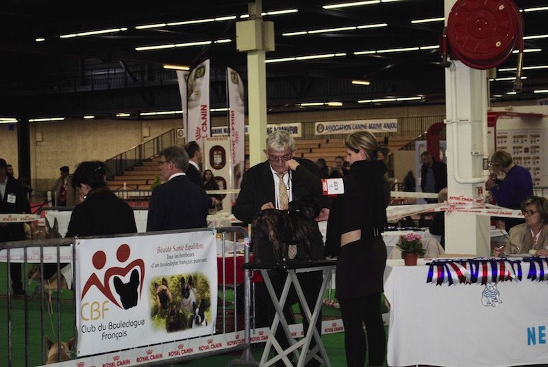 Publication : Des Agathes De Chamrouge Auteur : Des Agathes de Chamrouge