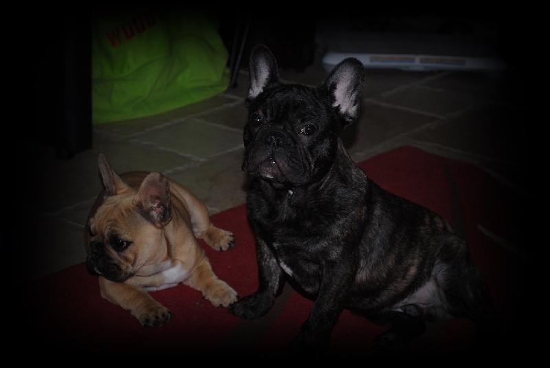 Publication : Des Agathes De Chamrouge Auteur : Des Agathes de Chamrouge