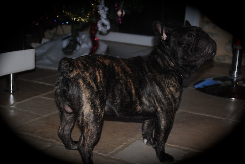 Publication : Des Agathes De Chamrouge Auteur : Des Agathes de Chamrouge