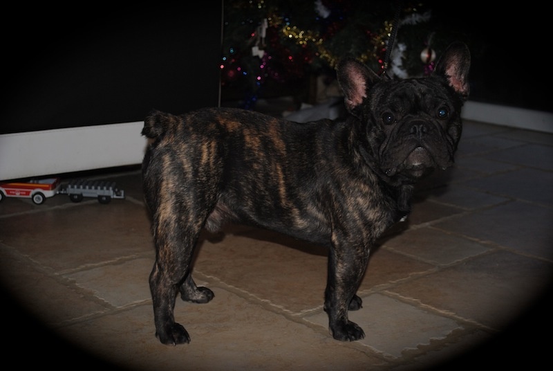 Publication : Des Agathes De Chamrouge Auteur : Des Agathes de Chamrouge