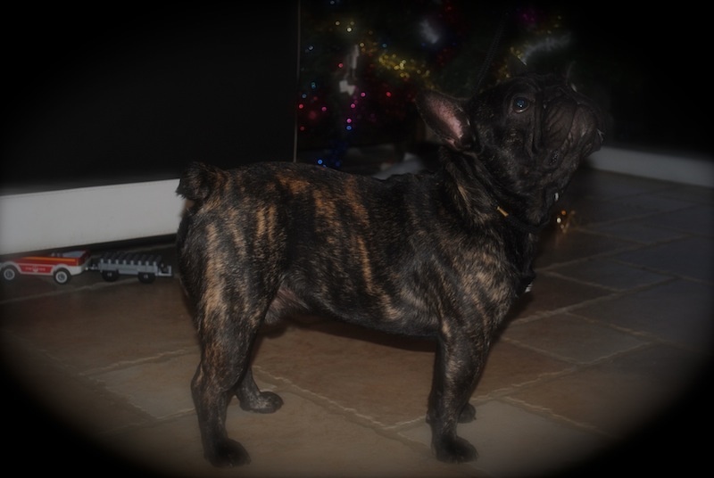 Publication : Des Agathes De Chamrouge Auteur : Des Agathes de Chamrouge