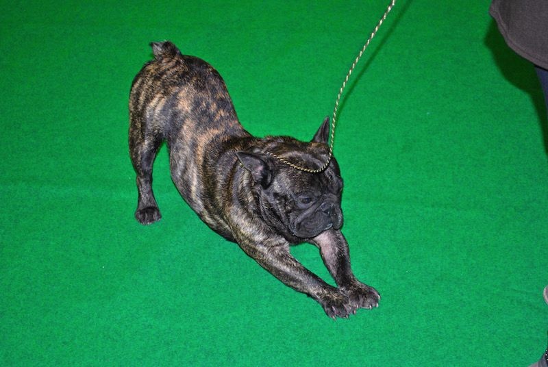 Publication : Des Agathes De Chamrouge Auteur : Des Agathes de Chamrouge