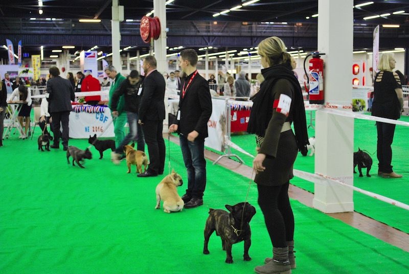 Publication : Des Agathes De Chamrouge Auteur : Des Agathes de Chamrouge