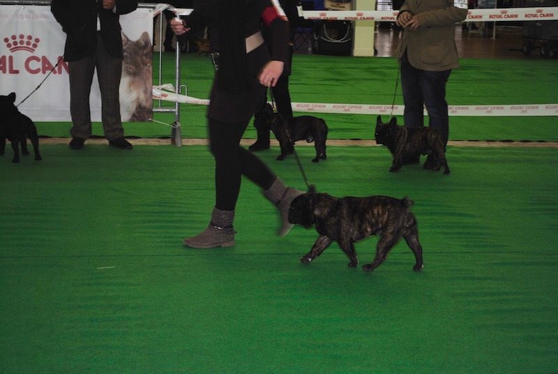 Publication : Des Agathes De Chamrouge Auteur : Des Agathes de Chamrouge