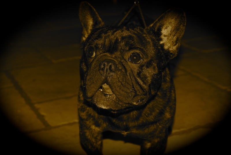 Publication : Des Agathes De Chamrouge Auteur : Des Agathes de Chamrouge