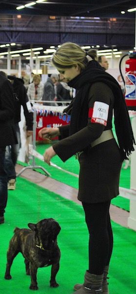 Xenos de el mencey loco - Très bon