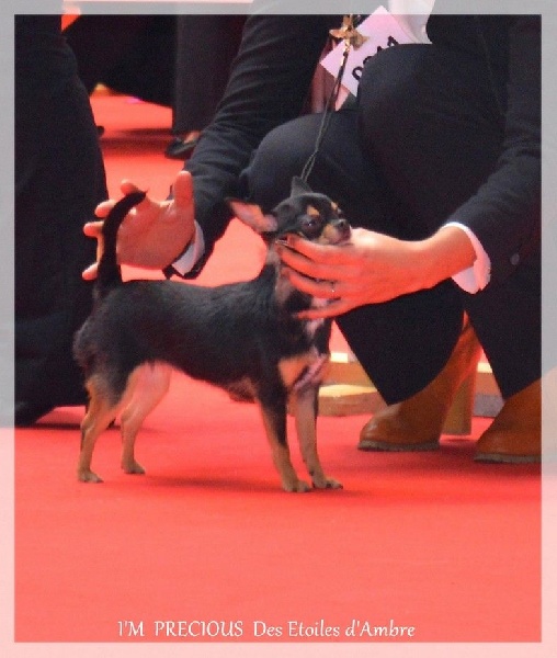 I'm précious Des Etoiles D'ambre - EXCELLENT classe jeune