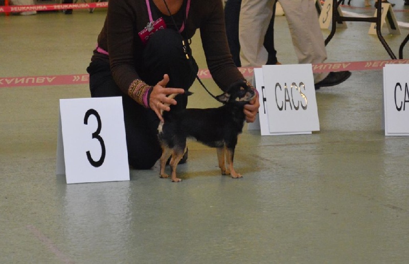 I'm précious Des Etoiles D'ambre - Classe Intermédiaire : 3eme TB