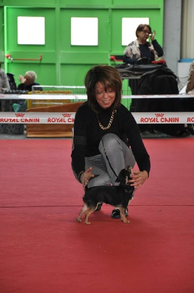 I'm précious Des Etoiles D'ambre - classe ouverte : 3eme TB