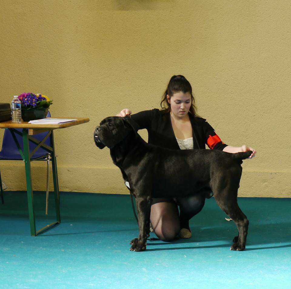 Fabio lucci du temple de jade - 3ème Très Bon