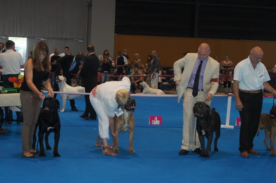 Fabio lucci du temple de jade - 2ème Excellent