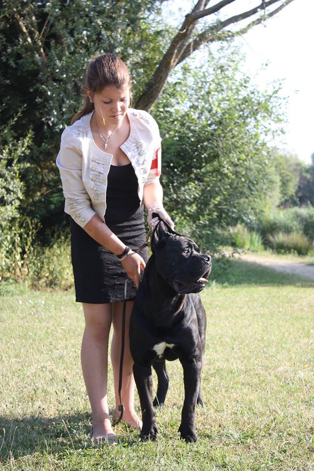 Fabio lucci du temple de jade - 1er Excellent / Meilleur de race