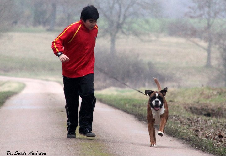 Publication : Du Siecle Andalou Auteur : Elevage Du Siècle Andalou