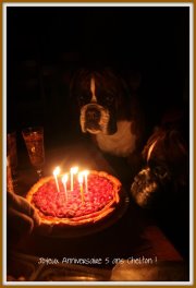 Publication : Du Siecle Andalou Auteur : Elevage Du Siècle Andalou