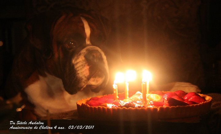 Publication : Du Siecle Andalou Auteur : Elevage Du Siècle Andalou