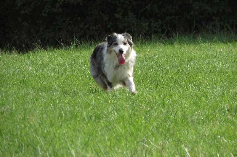 Eden blue de la villa Loubet