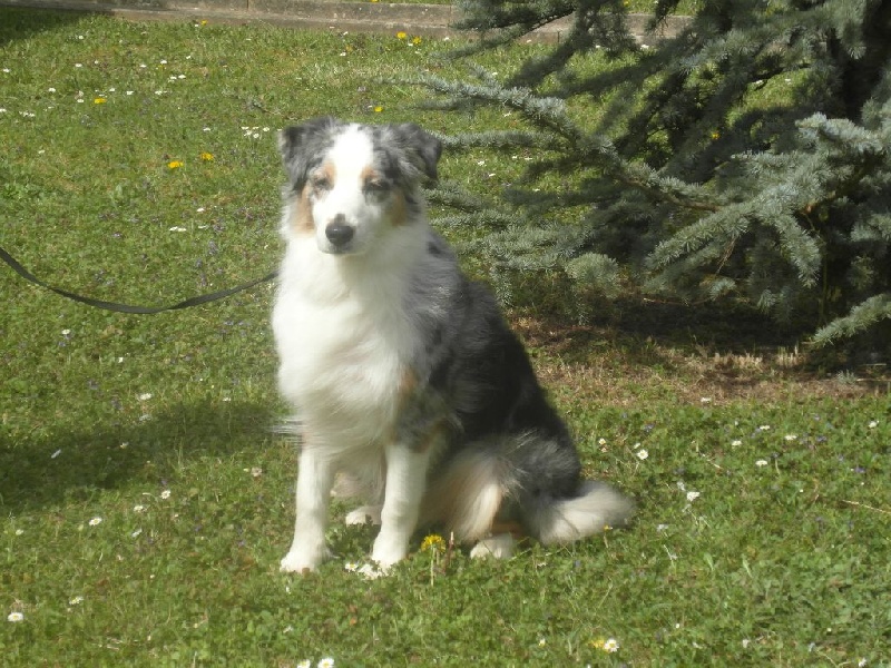 Eden blue de la villa Loubet