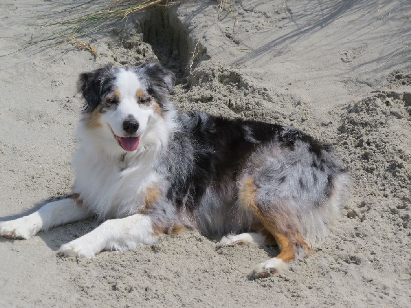 Eden blue de la villa Loubet