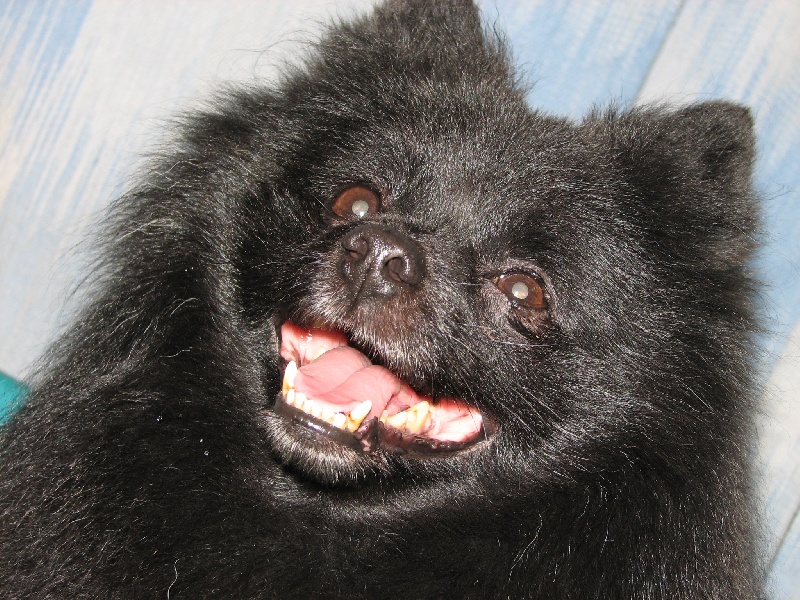 Publication : d'un Soir de Noël