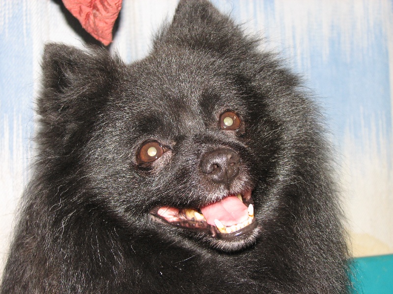 Publication : d'un Soir de Noël