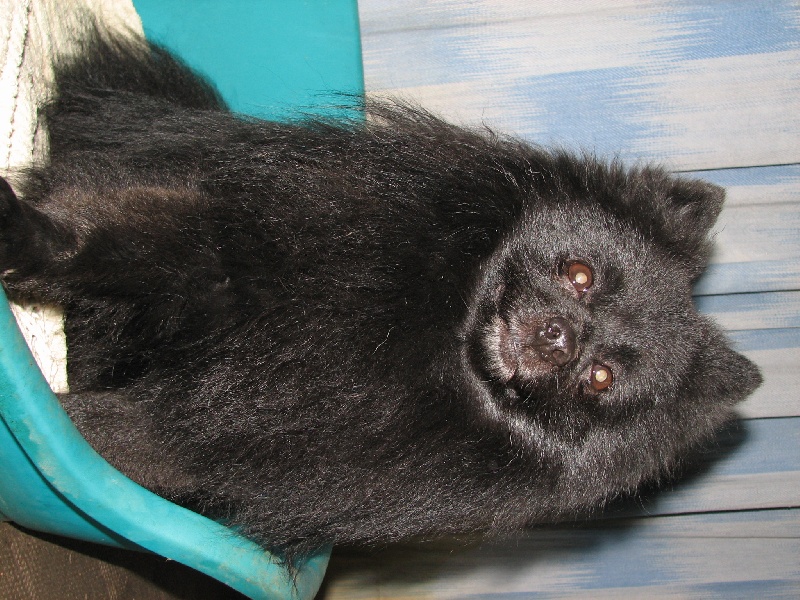 Publication : d'un Soir de Noël