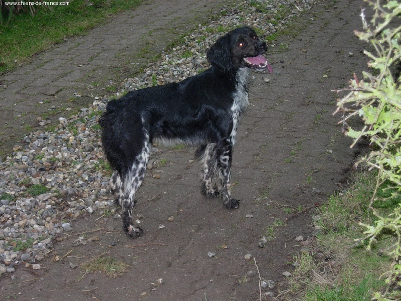 Publication : de la Baie des Gabions
