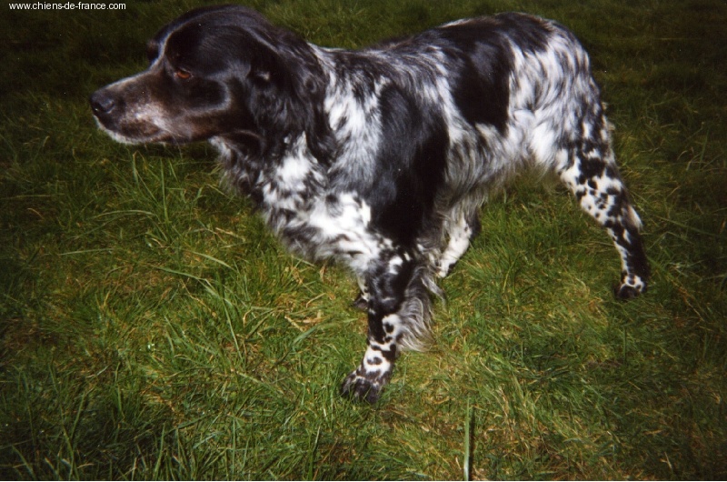 Publication : de la Baie des Gabions