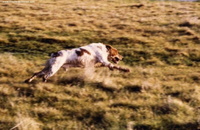Publication : de la Baie des Gabions Auteur : madame bourrez
