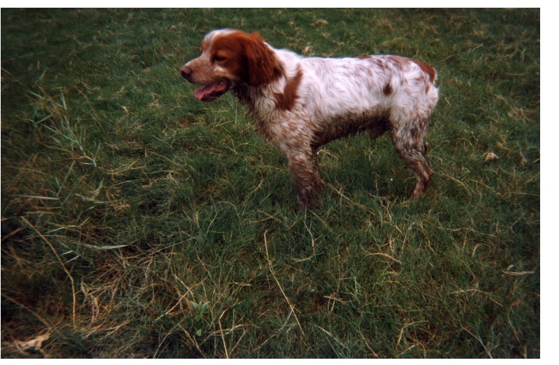 Publication : de la Baie des Gabions Auteur : madame bourrez