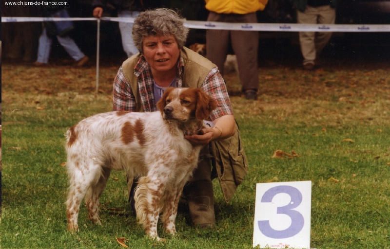 TR. CH. Jiva de la Baie des Gabions - 3E EXCELLENT CLASSE TRAVAIL