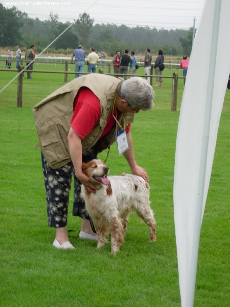 TR. CH. Jiva de la Baie des Gabions - 2e excellent
