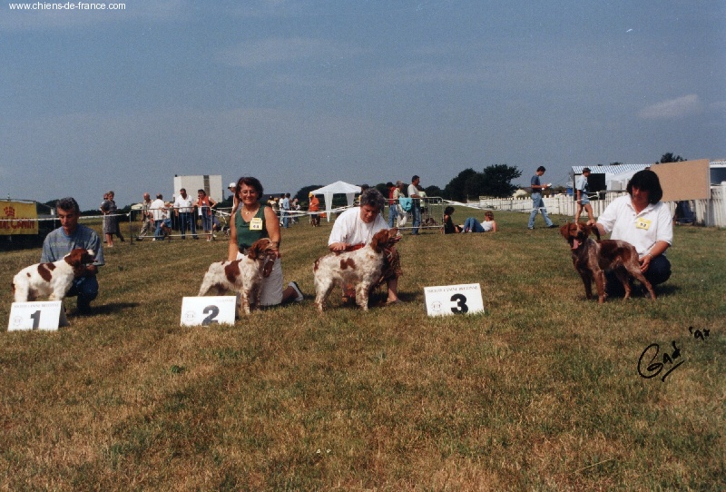 TR. CH. Jiva de la Baie des Gabions - 3eme EXCELLENT CLASSE TRAVAIL