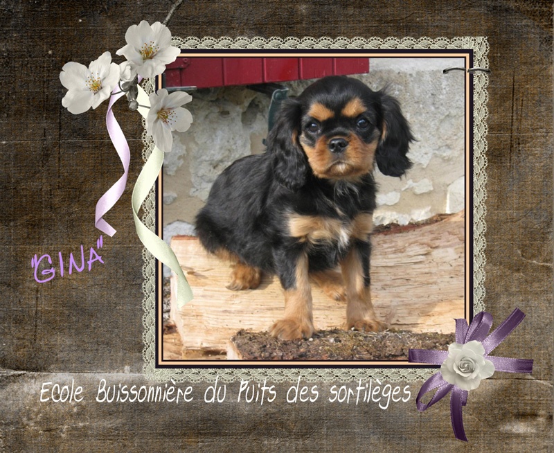 Publication : du Broi Kan Auteur : Francine Castagnet