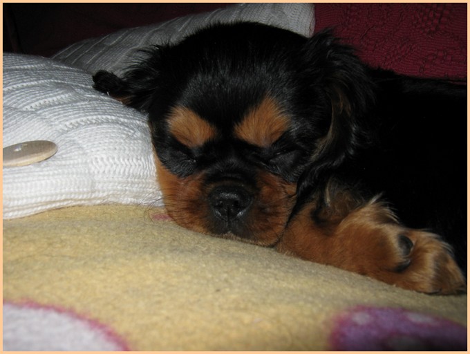 Publication : du Broi Kan Auteur : Francine Castagnet