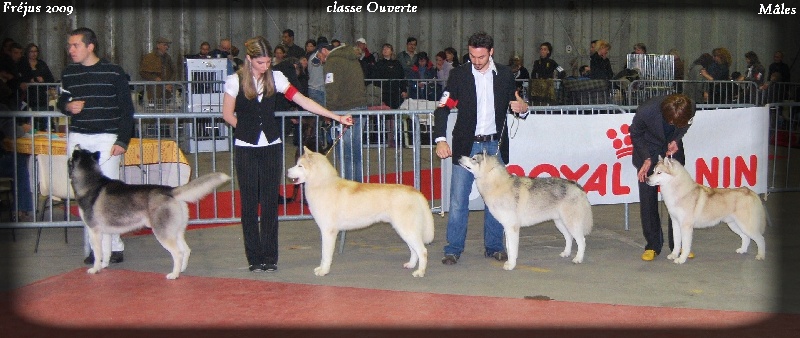 Chaman Des garrigues du loup du canebas