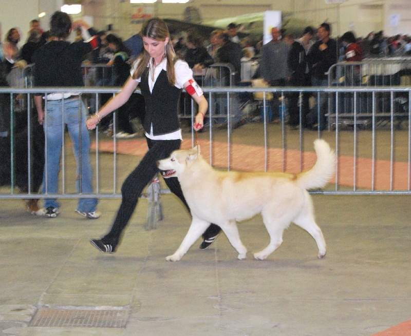 Chaman Des garrigues du loup du canebas