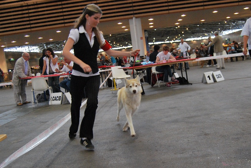 CH. C' kolima Des garrigues du loup du canebas - EXC 2