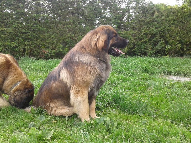 Ebene du Pont des Aulnes
