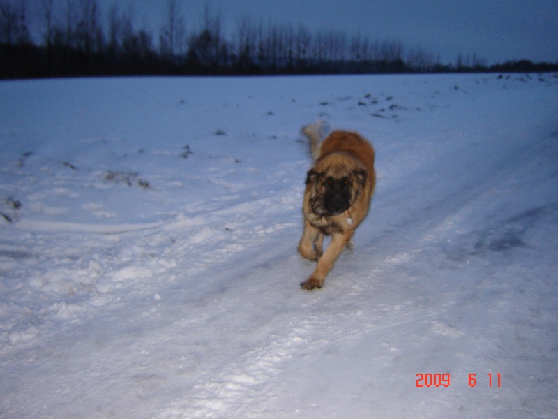 Publication : du Pont des Aulnes Auteur : festa à 8 moi et demi