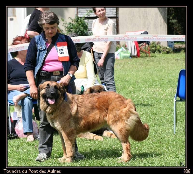 Publication : du Pont des Aulnes
